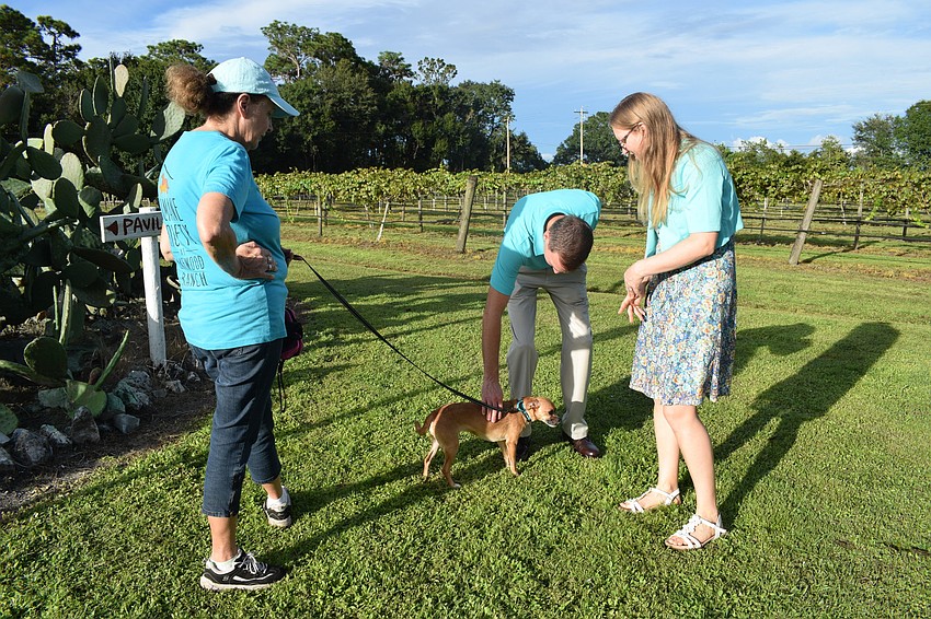 Donna Waite, a volunteer with the Humane Society at Lakewood Ranch, holds onto Trixie while Greyhawk Landing's Shane and Sadie Reichenback pets her.