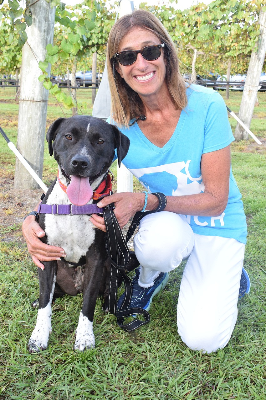 Lucy Kisela, a volunteer with the Humane Society at Lakewood Ranch, says Rose loves to be with people.