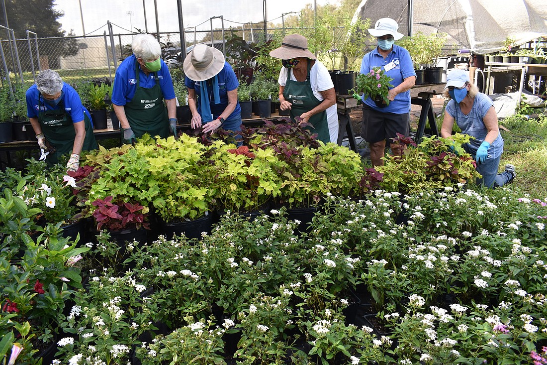 The plant sale is Friday, October 9. From 8:30 a.m. to 3 p.m. Twin Lakes Park is at 6700 Clark Rd. (East of 75). Free admission. Cash/checks only for all plant sales. On rain or shine!