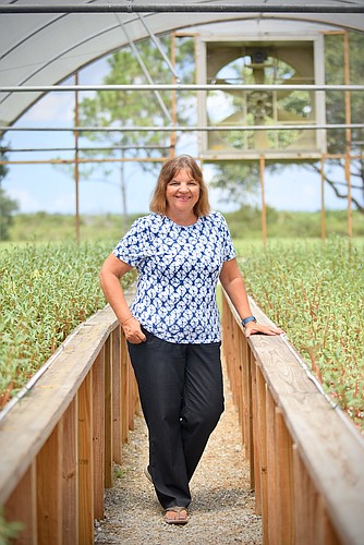 Kevan Main, the director of Moteâ€™s 200-acre aquaculture research station, stands in the middle of a greenhouse teeming with sea purslane, one of her favorite edible sea plants.
