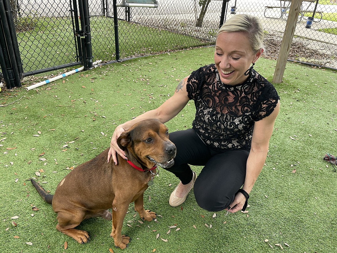 Manatee County Animal Services division chief Sarah Brown takes a moment with Pelican, a dog that&#39;s available for adoption. Pelican was one of 95 dogs under the agency&#39;s care during last Monday&#39;s visit. Photo by Scott Lockwood.