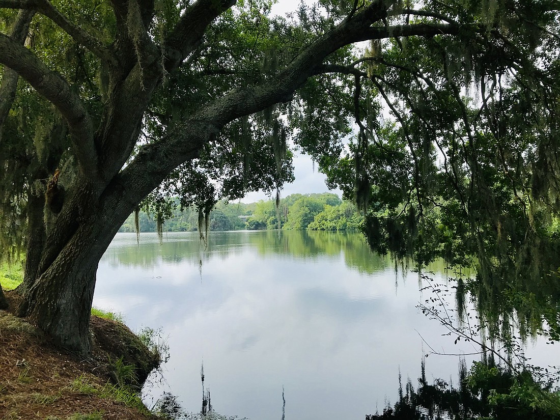 Sarasota County has more than 6,600 ponds, of which more than 4,500 are classified retentionÂ ponds.