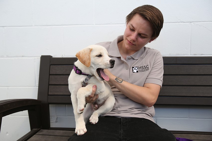 Ann Harrison plays with a sleepy Preston the puppy.