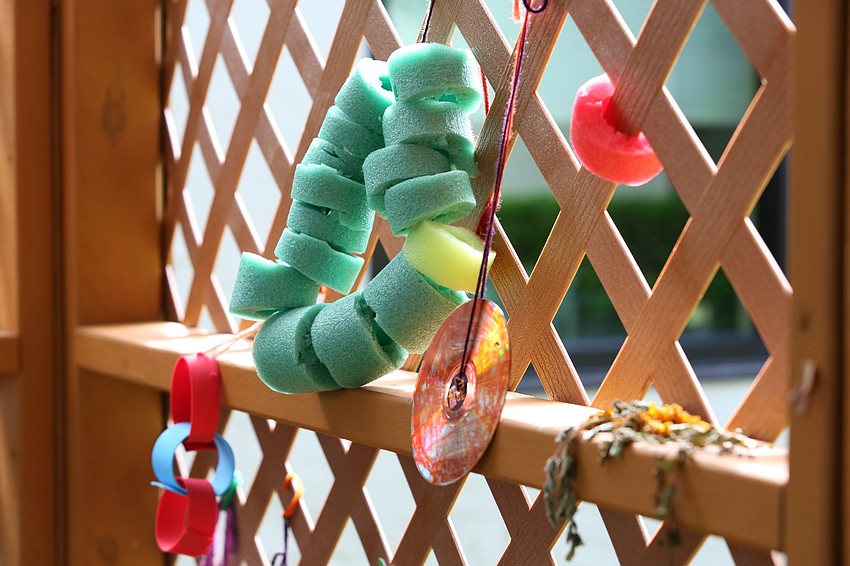 The Sukkot had a number of gifts attached.