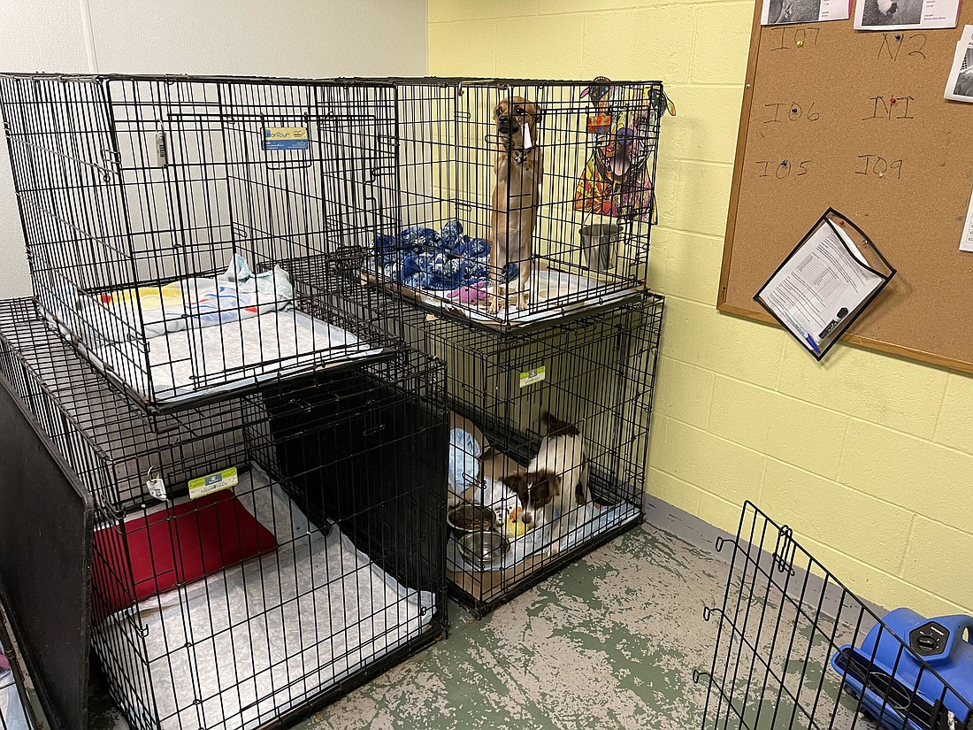 Manatee County&#39;s Palmetto animal shelter has been run down and overcrowded for years.