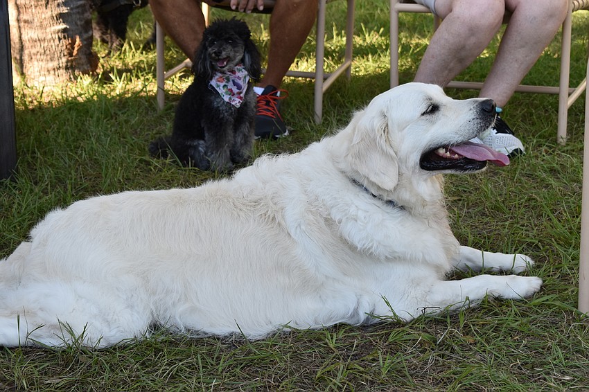 Farrah Fawcett no longer has to wear her pink coat to Bayfront Park.