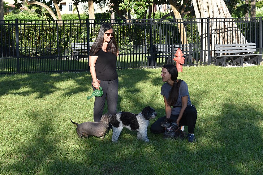 Rose Mary Bushin and her daughter Fannie Bushin played with dogs Friday morning at Bayfront Park.