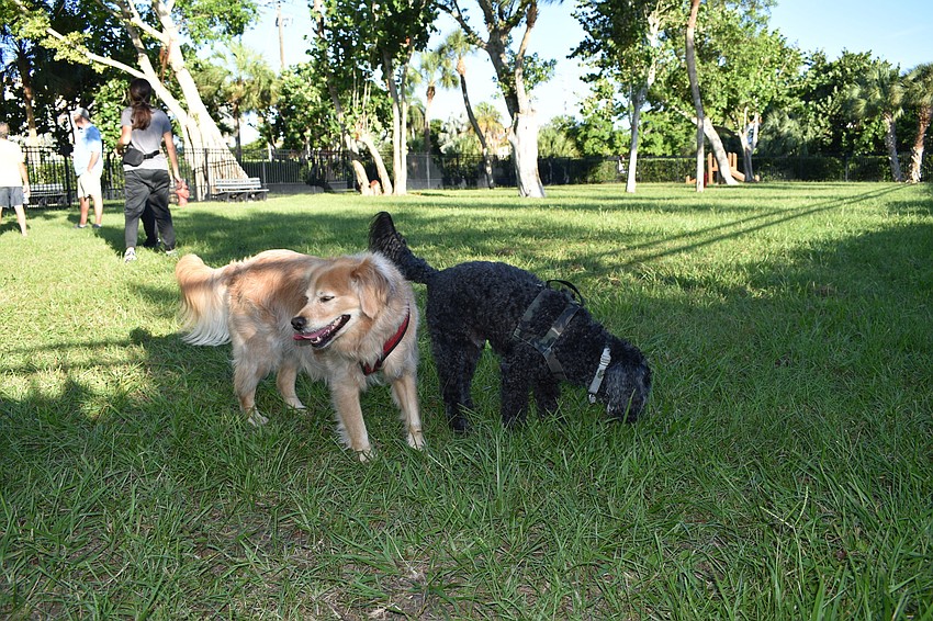 The Bayfront Park dog park was closed from mid-July to the end of September for resodding.