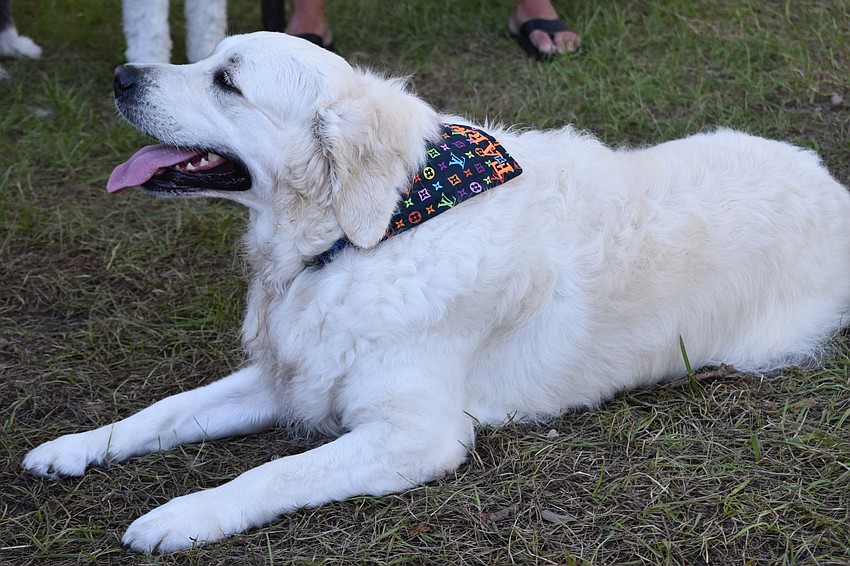 Farrah Fawcett no longer has to wear her pink coat to Bayfront Park. Instead, she wears a scarf with her name on it.