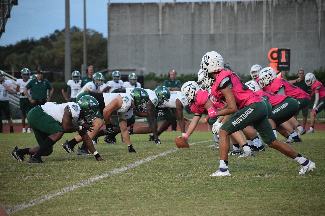 Lakewood Ranch, wearing pink jerseys, lines up against Venice High. The Mustangs would lose 61-7. Photo by Liz Ramos.