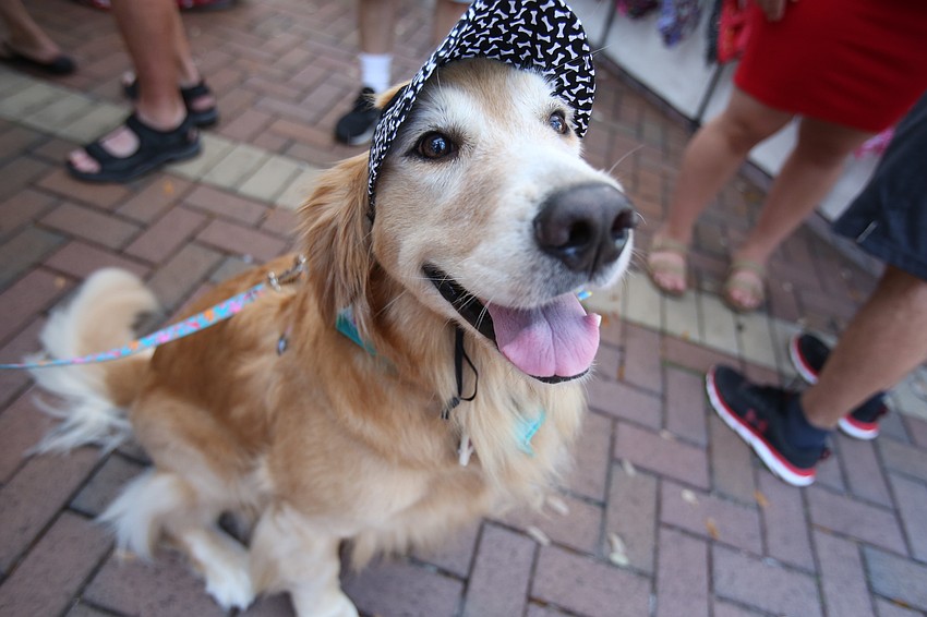 Randy Fountain purchases a visor from Hand Crafted Gifts for Pets for her dog, Bell.