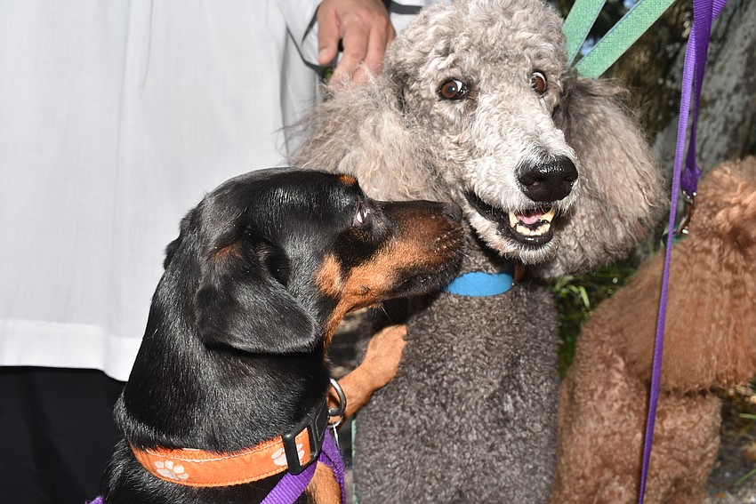 Clemmie gives a kiss to Callie.