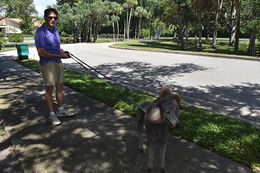 Dave Bishop led the poodles to the shade for some cool water.