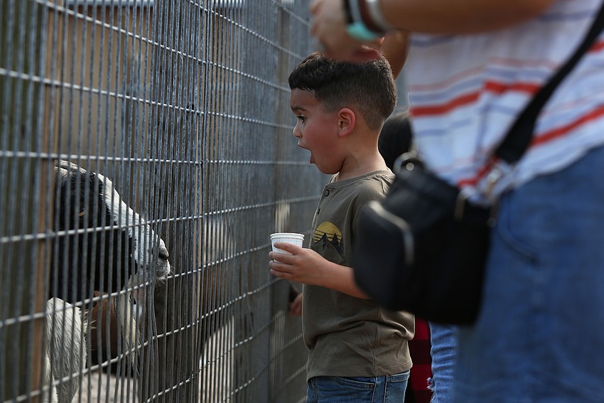 Aiden Davila meets a new friend.