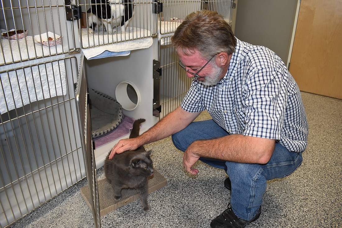 Bishop Animal Shelter Director Keith Pratt gets a visit from Elmer the cat at Bishop Animal Shelter on Oct. 15.