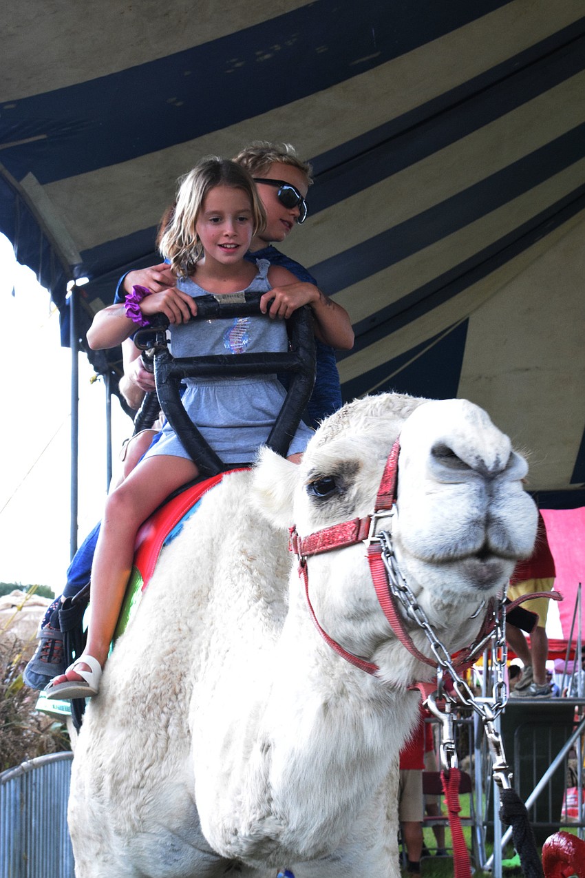 Sarasota's Ember Magnuson, who is 8, rides a camel with her 7-year-old brother, Noble Magnuson.