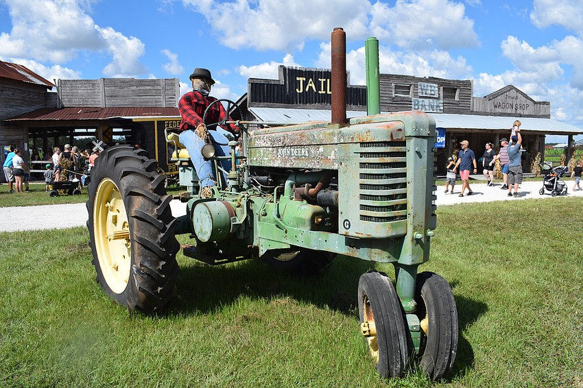 Scarecrows can be found all around the Pumpkin Festival.