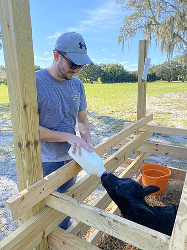 Jeremy Croteau tends to his livestock on his Myakka City farm that will host the Sarasota Medieval Fair.