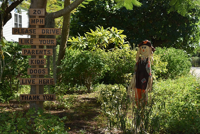 650 Cedar St. set up scarecrows to ward off bad drivers.