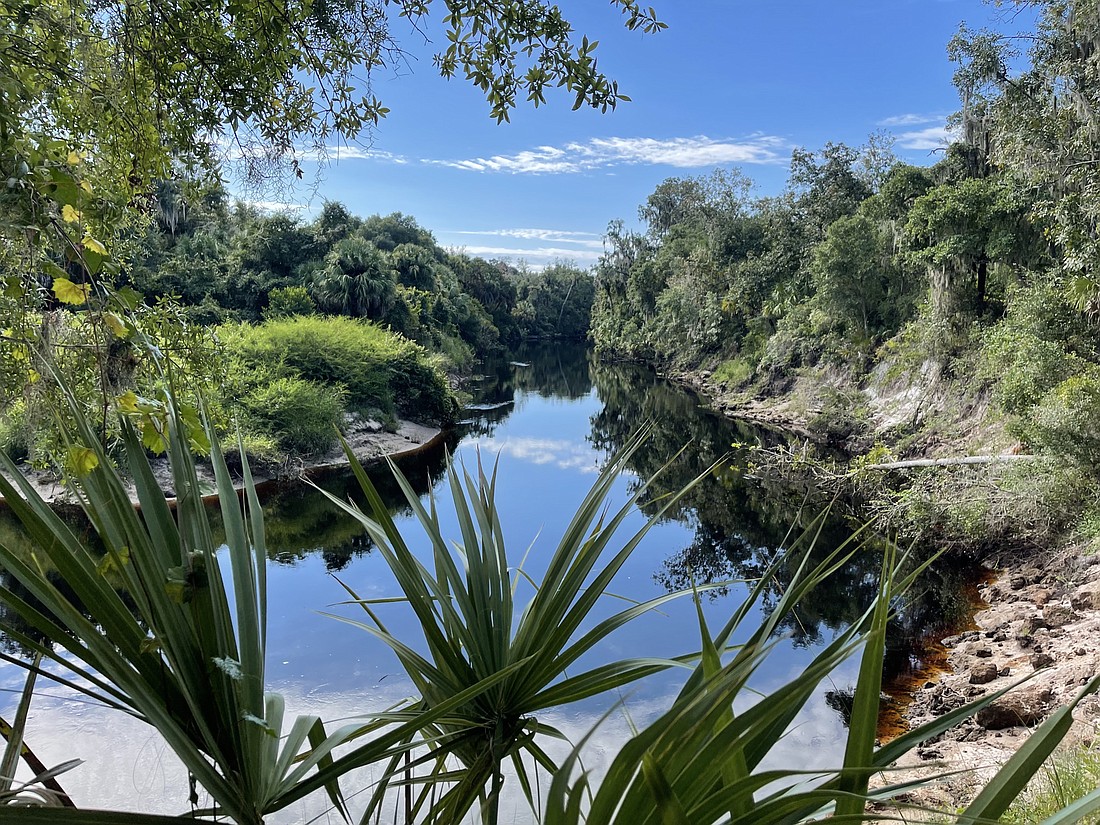 The Manatee River winds through Rye Preserve in northeastern Manatee County. Last year, Manatee County voters approved a referendum that will raise funds for the county to purchase more environmentally sensitive lands.