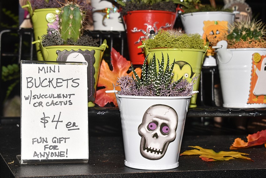 Spooky succulents were available.