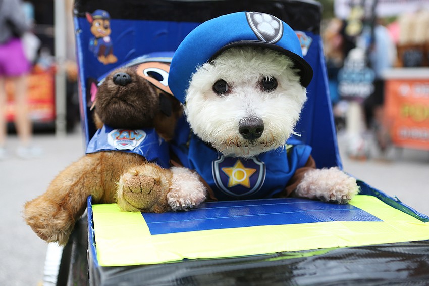 Bentley was a police officer dog.