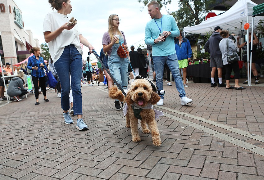 Your Observer | Photo - Moose races with his owner, Nicole Palmer.
