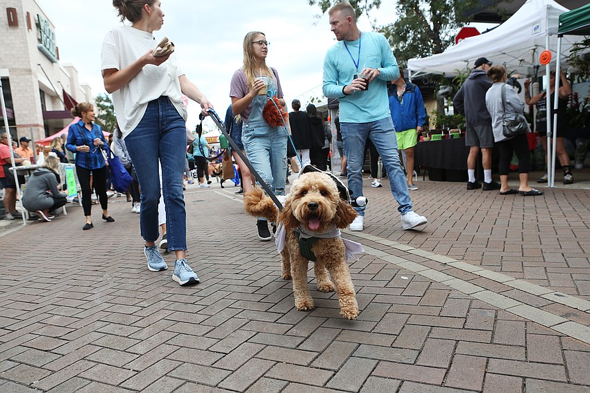 Moose races with his owner, Nicole Palmer.
