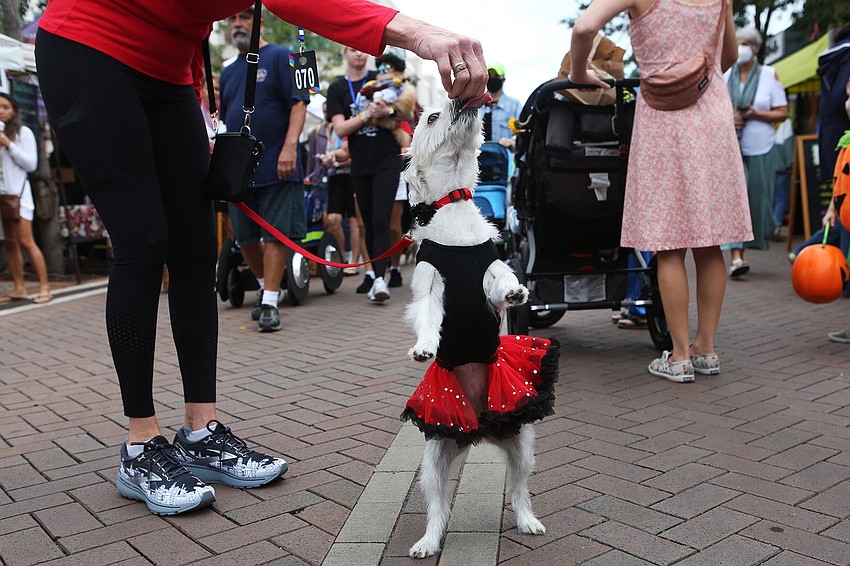 Kathy Donohue has her dog, Ruby, do a trick.