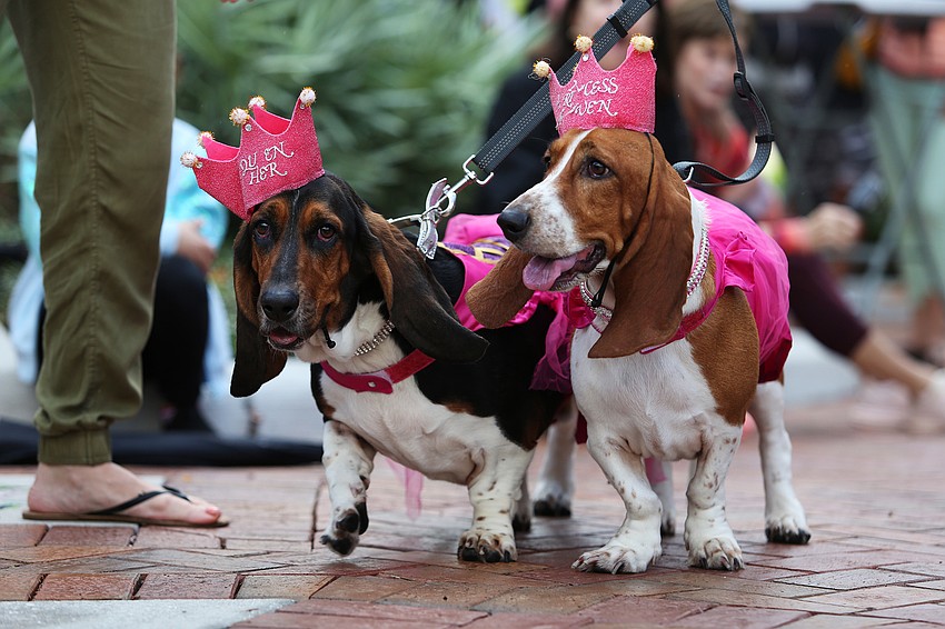 Princess Haven and Queen Hero