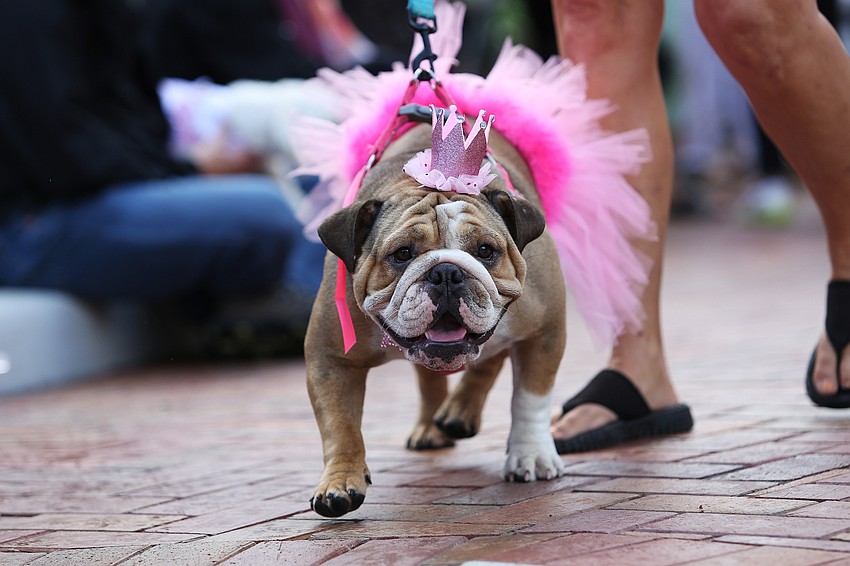 Elle was an excited princess.