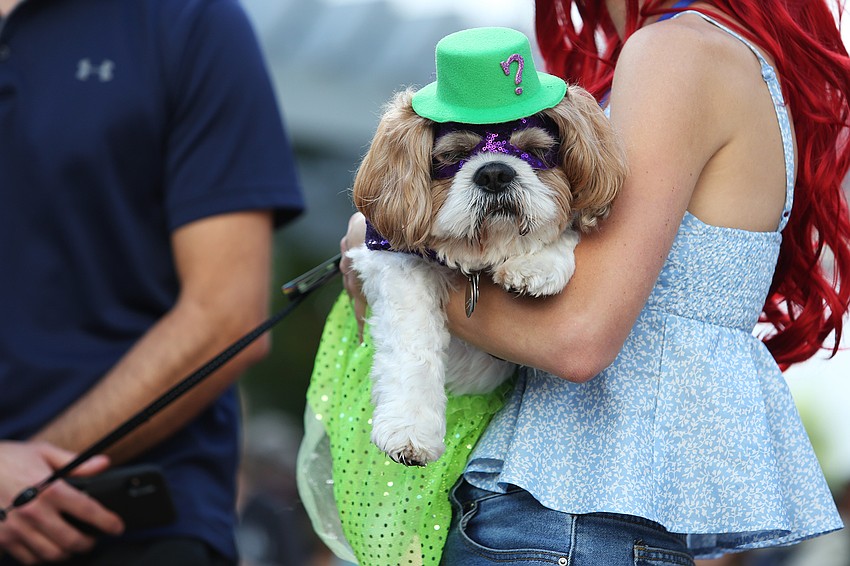 Eric and Stephanie Itkin bring Melo the Riddler.