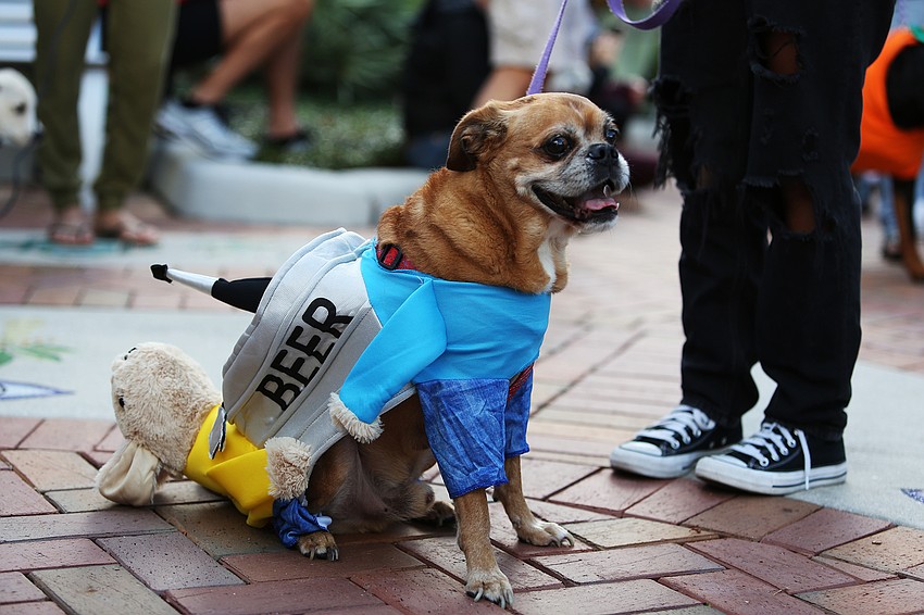 Zeek brings beer to the contest.