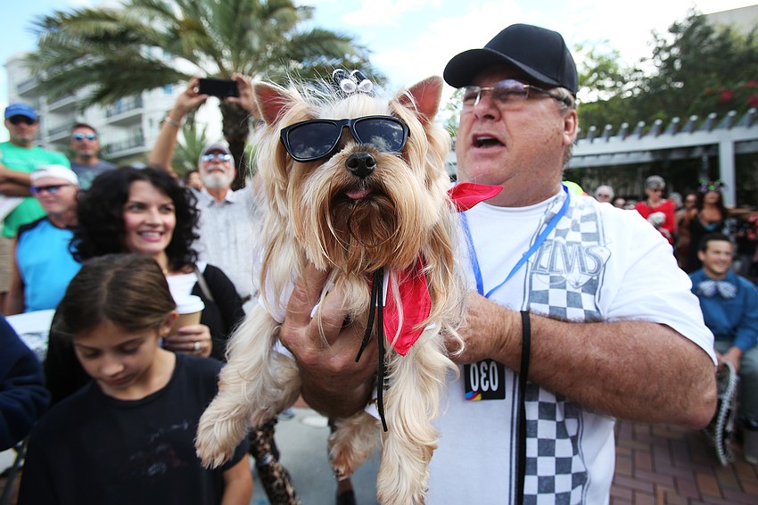 Bromley the dog went as Elvis.