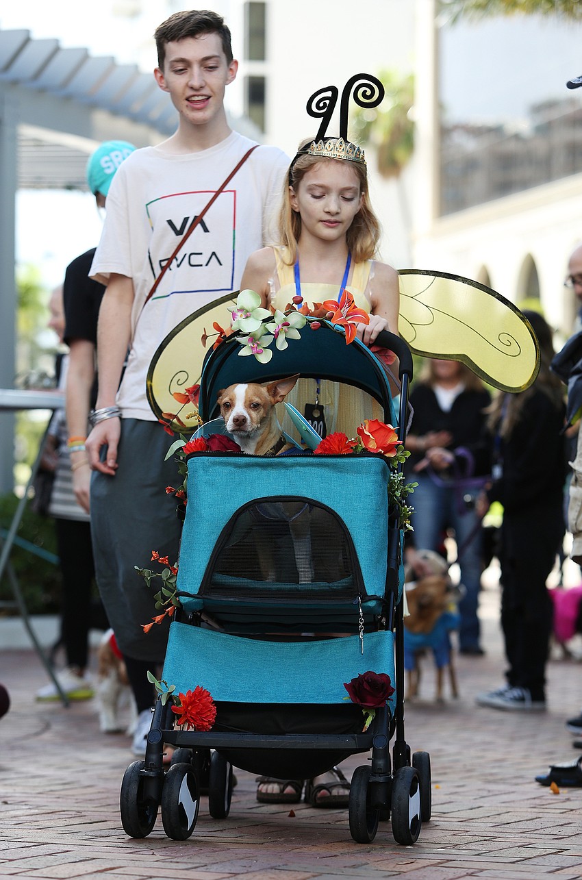 Cora Rohrs rolls her dog Delta to the front.