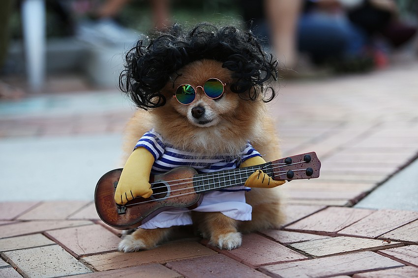 Andi chills as a rock star.