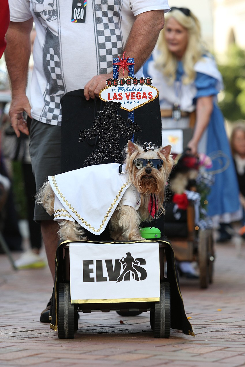 Bromley rolls up as Elvis.