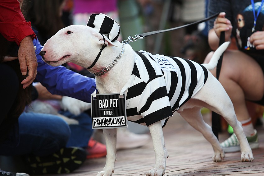 Chopper was a tough prison dog.