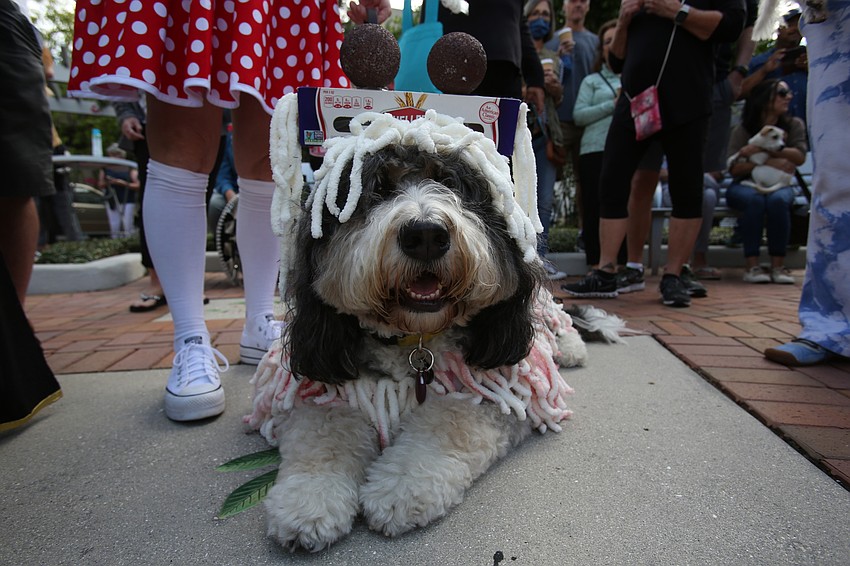 Winston won the competition with his spaghetti and meatballs costume.