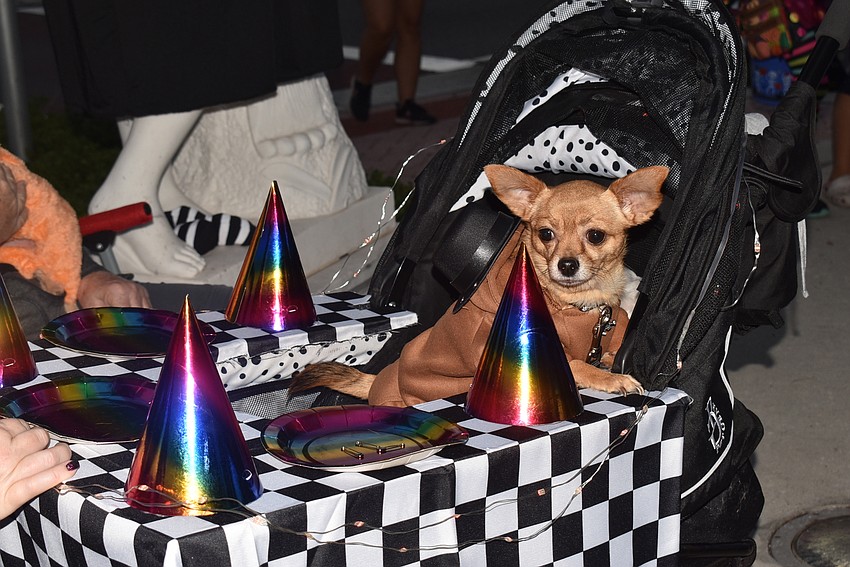 Xena's costume was part of her stroller.