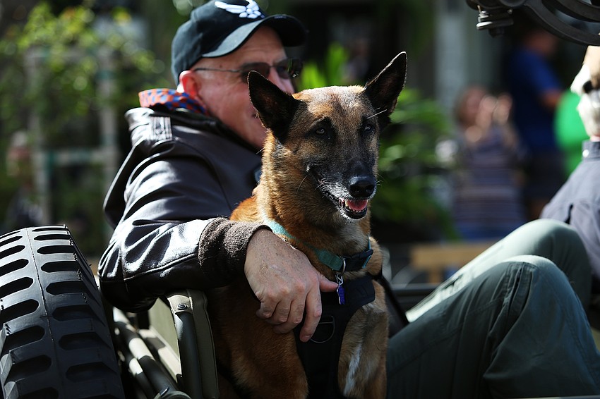 Allie the dog rides along with veterans.