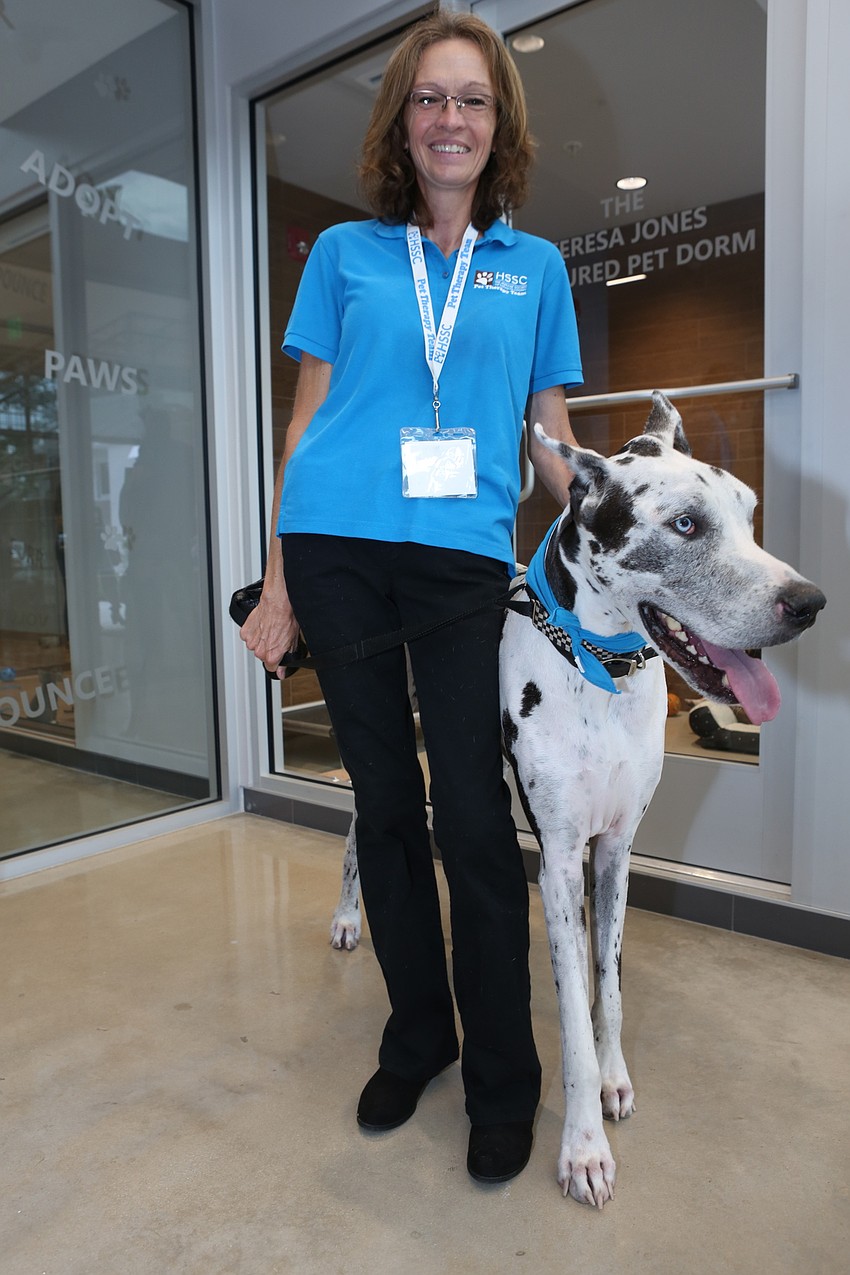 Brandy Frieling walks around Zorro