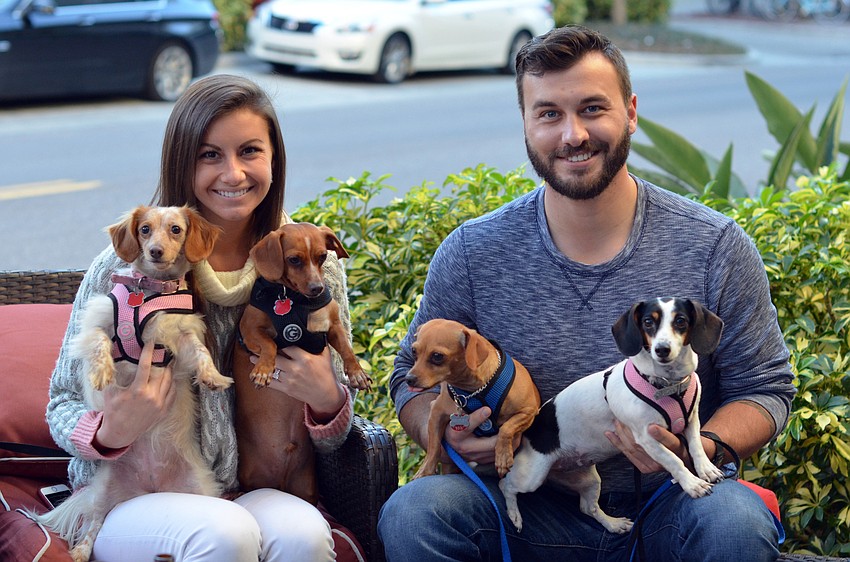 Tricia Lagowski and Nick Hayes with their four dachshund's Mia, Coco, Peyton and Bentley