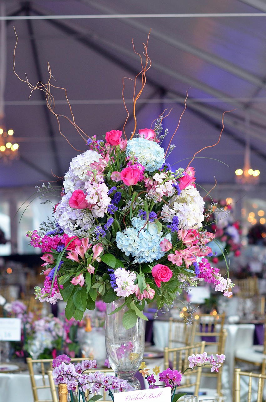 The 2016 Orchid Ball — Gowns in the Garden: Experience the Growth was held on Saturday, Feb. 13, at Marie Selby Botanical Gardens.