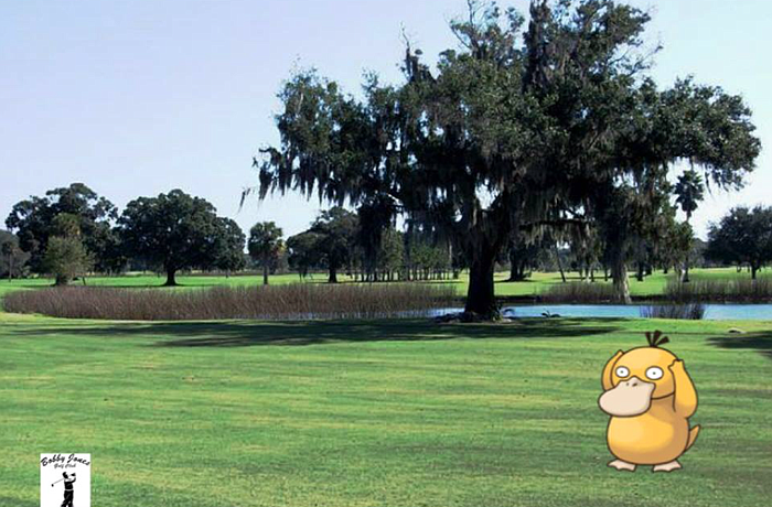 The city of Sarasota posted a photo of a PokÃ©mon at Bobby Jones Golf Club today.