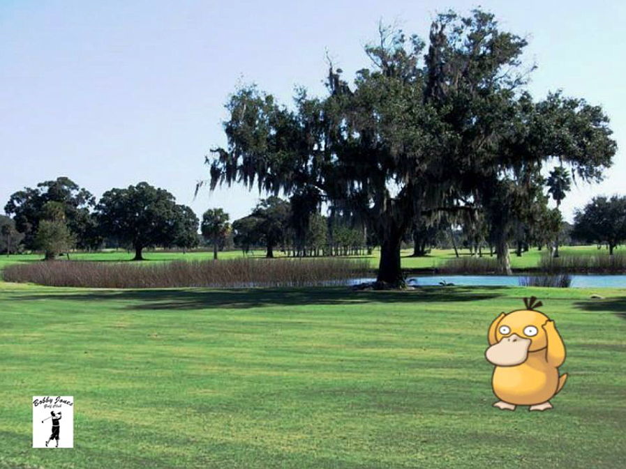 The city of Sarasota posted a photo of a PokÃ©mon at Bobby Jones Golf Club today.