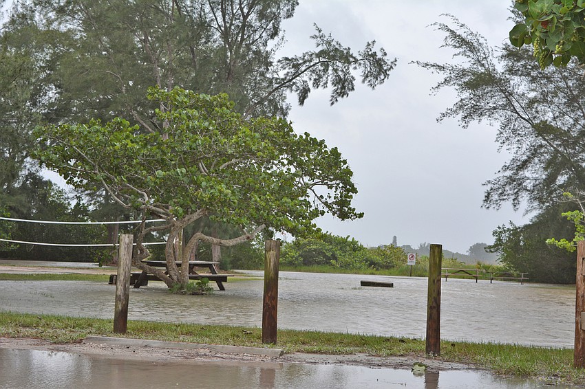 Ted Sperling Park flooded before Tropical Storm Hermine made landfall.
