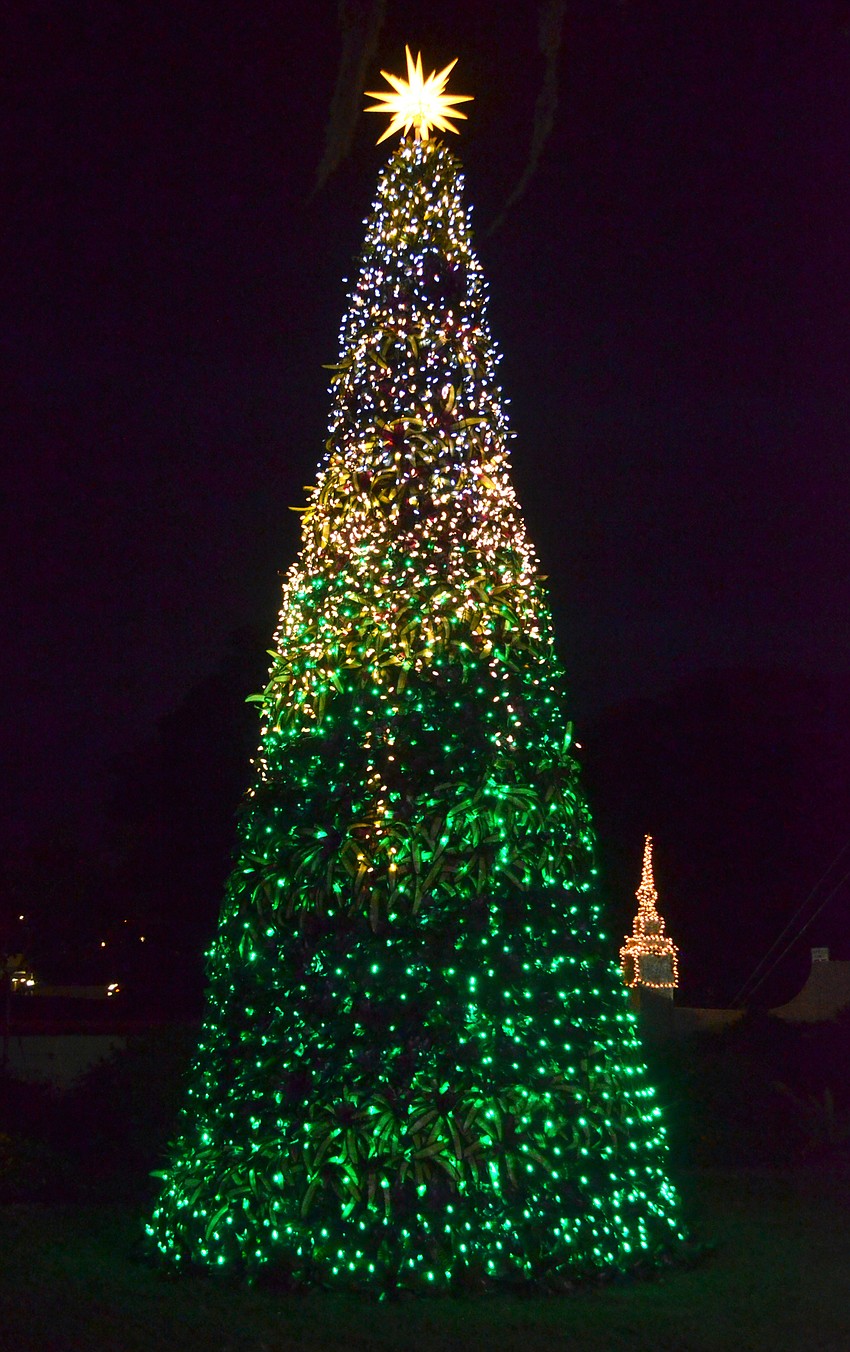 The bromeliad tree shines in all its holiday glory after being officially lit.