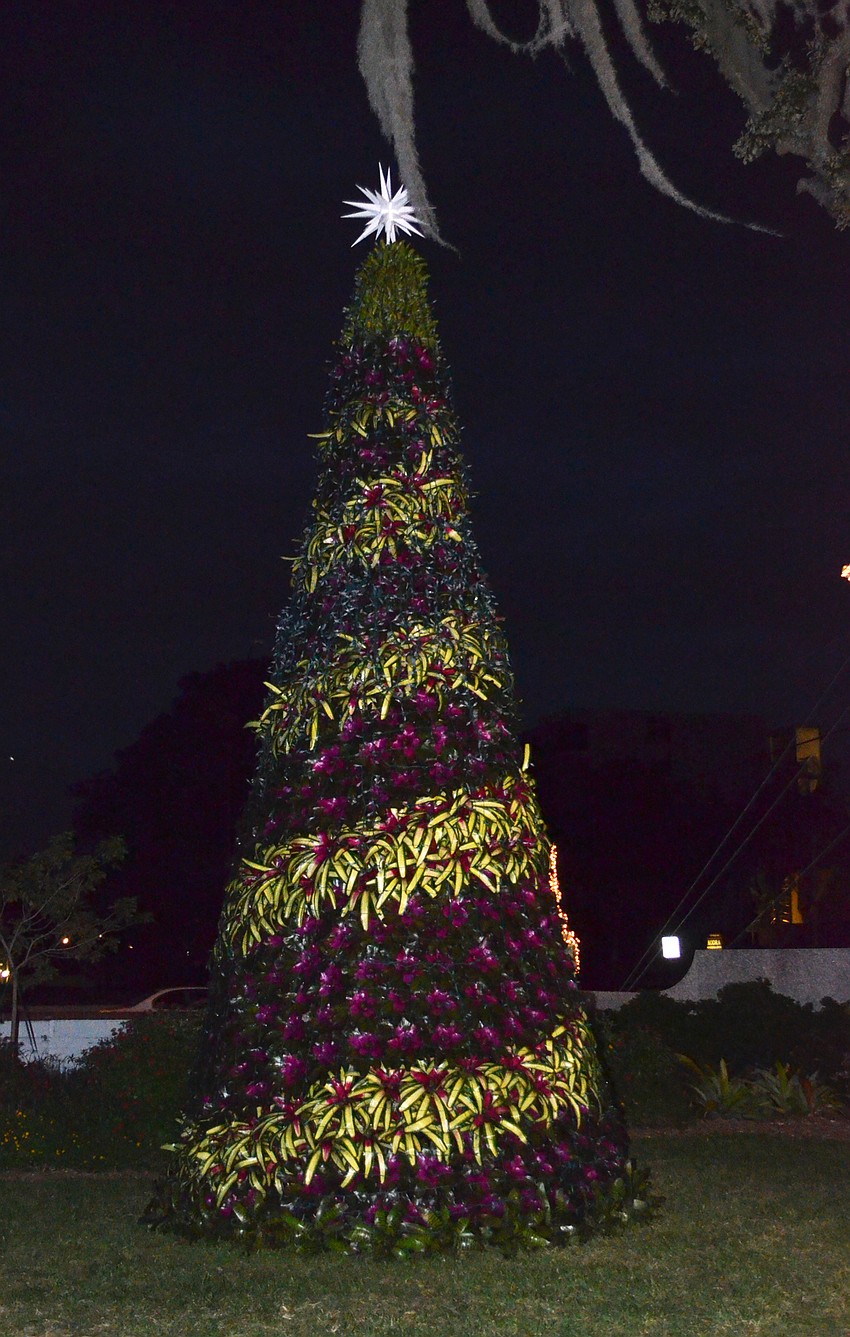 The bromeliad tree remains dark before being officially lit.