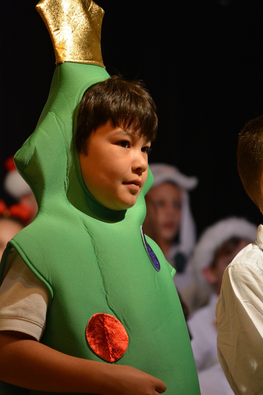 Carter Okuhara was one of four Christmas trees.